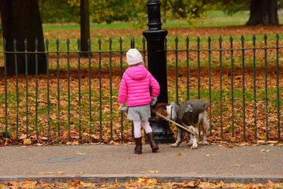 DSC_0695 (Large).JPG